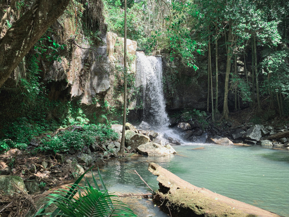 tamborine waterfalls