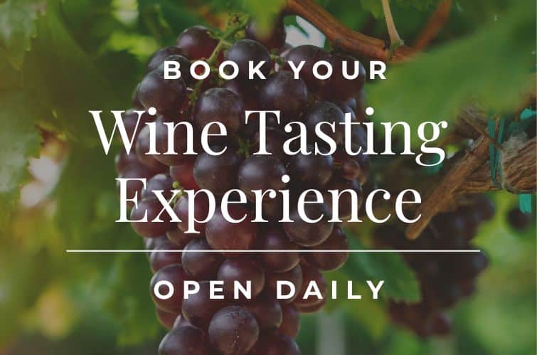 Book your wine tasting session