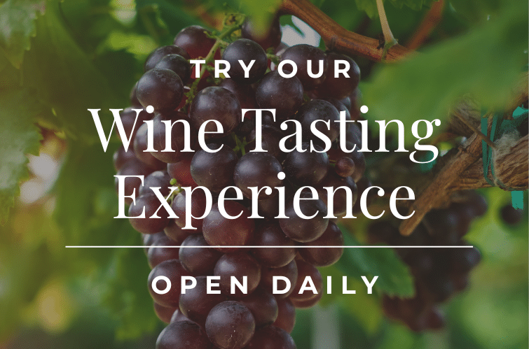 Book your wine tasting session